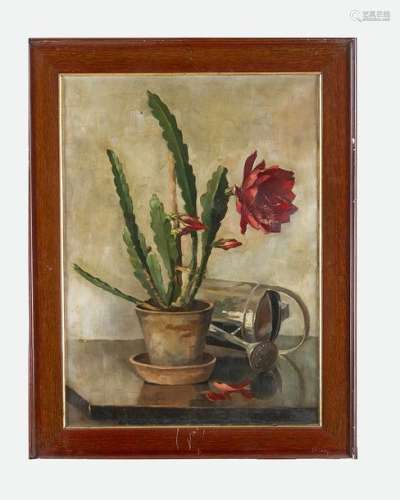 Austrian artist 20th Century, Cactus still life, o…