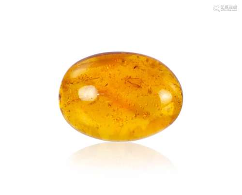 AMBER PIECE WITH TWO SPECIMENS