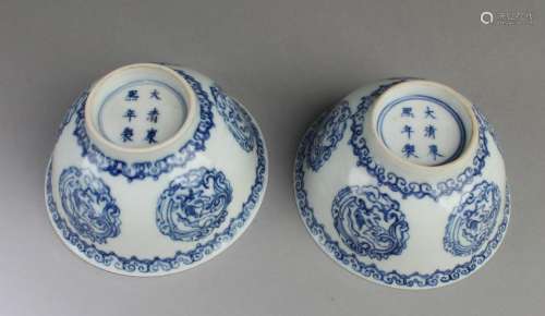 A Pair of Chinese Blue & White Porcelain Bowl
