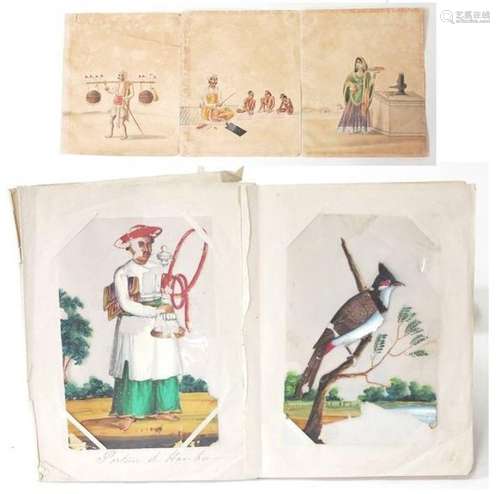 India, Company School, 19th century \n \nSet compris…