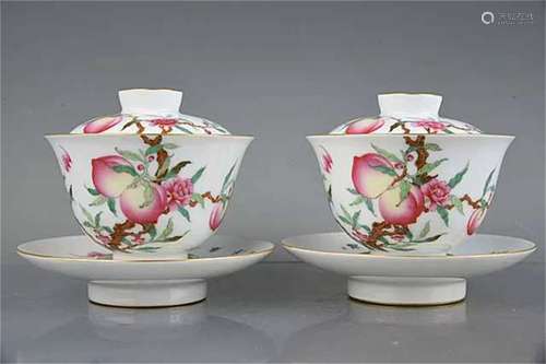 A Pair of Chinese Enamel Glazed Porcelain Cup with Cover