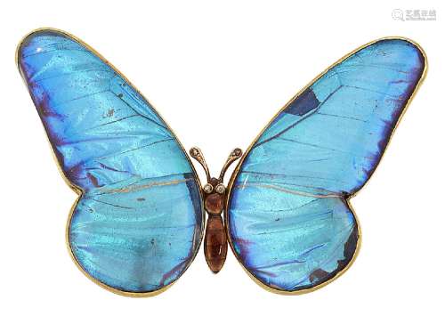 An early 20th century gold and butterfly wing brooch, the gold brooch mounted with South American