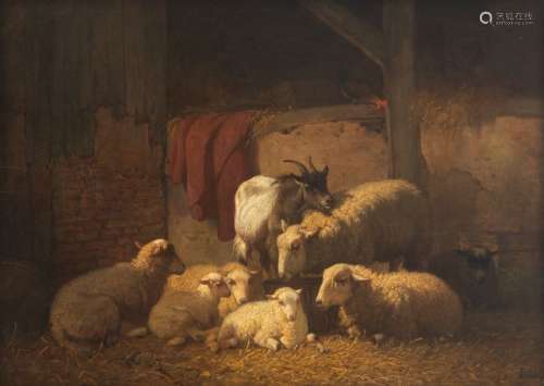 Robbe L., sheep and goats resting in the stable, o…