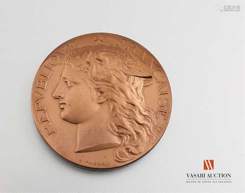 Medal of the Ministry of Agriculture, regional agricultural competition Reims 1895, bronze, 50 cm, engraved by M.Ponscarne, BE-TBE