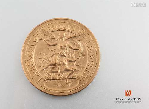 Fame proclaims merit - Table medal, engraved by Henri Naudé, bronze, 50 mm, smooth edge, APC