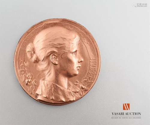 Marie, 1889, female profile, 59 mm, single-sided, BE