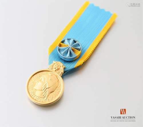 Medal for Youth, Sports and Community Service, Gold Echelon, 27 mm, ribbon with rosette, APC-SUP