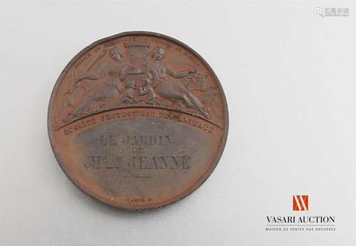 Justice and Compassion, Hygiene and Morals, Humane Society - Medal, bronze, 41 mm, smooth edge, awarded 1881, BE-TBE