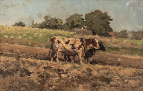 Verheyden I., oxen pulling the plough, oil on canv…