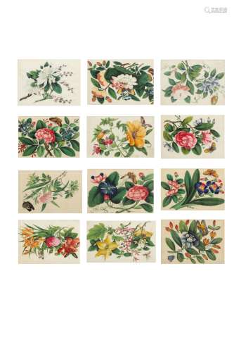 A SET OF TWELVE CHINESE PITH PAPER PAINTINGS OF INSECTS AND FLOWERS.