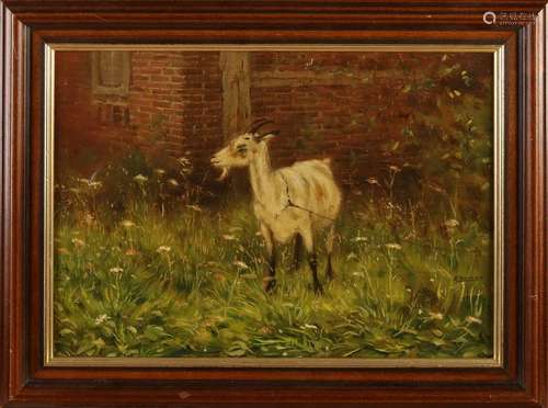 Evert Rabbers. 1875 - 1967. Enschede. Goat on the line.