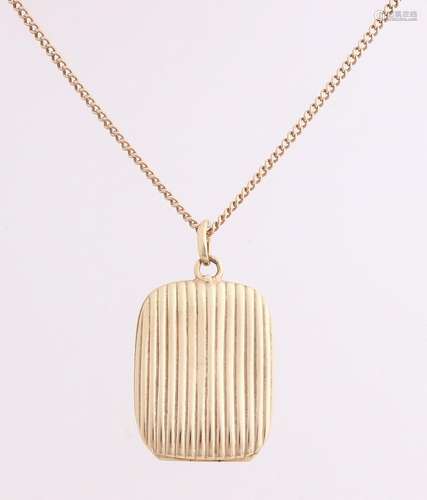 Yellow gold necklace and medallion, 585/000,