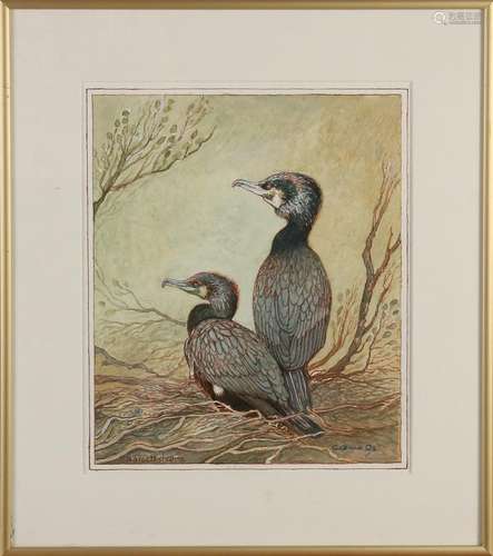 C. G. Os. 20th century. Cormorants. Watercolor on