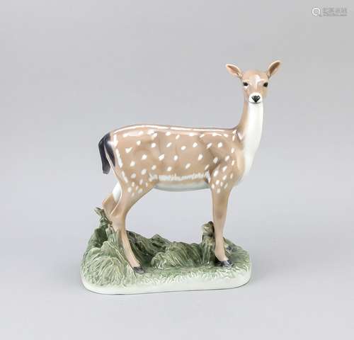 Large Danish Royal Copenhagen doe. 20th century. Size: