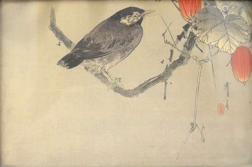 A Japanese kacho-ga of a bird perched beside vegetables by Watanabe Seitei (1851-1918); framed and