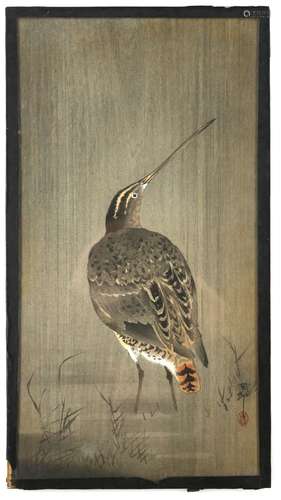 A Japanese Kacho-ga of a standing snipe, looking upwards to the right; inscribed Koson above an oval