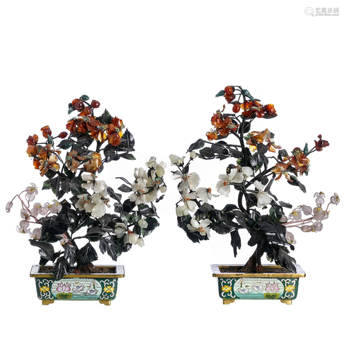 Pair of Chinese miniature trees with hard …