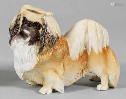 PekineseNaturalistisch ausgeführter Pekinese mit nach links gewandtem Kopf. Polychrome