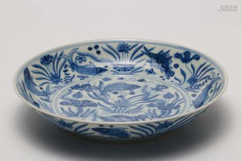 A Chinese Blue and White Porcelain Plate