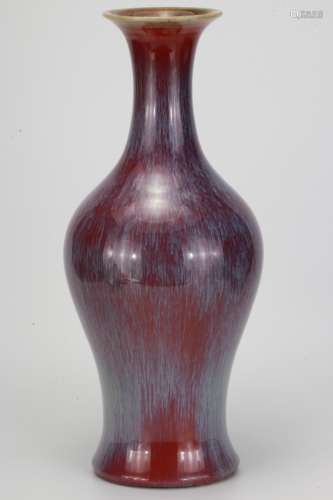 A Chinese Fancy Glaze Porcelain Vase