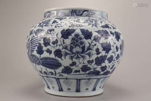 A Chinese Blue and White Porcelain Jar