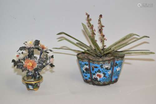 Two Chinese Jade Tree in Cloisonne Pots
