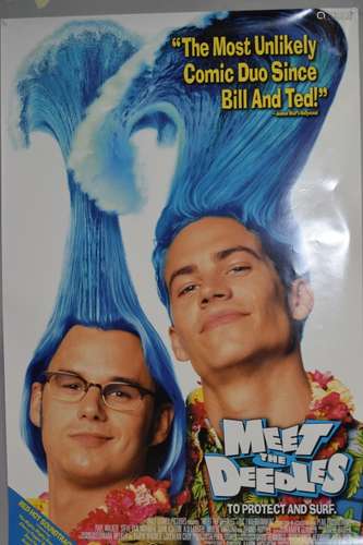 Meet the Deedles (1998) Movie Poster