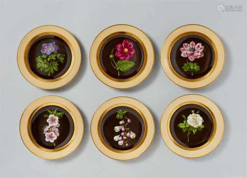 Six Vienna porcelain dinner plates with botanical motifsShallow dishes decorated with single flowers