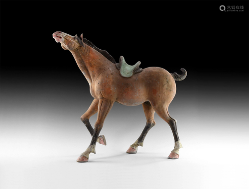 Large Chinese Tang Saddled Horse