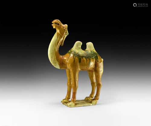 Chinese Tang Sancai-Glazed Camel Figurine