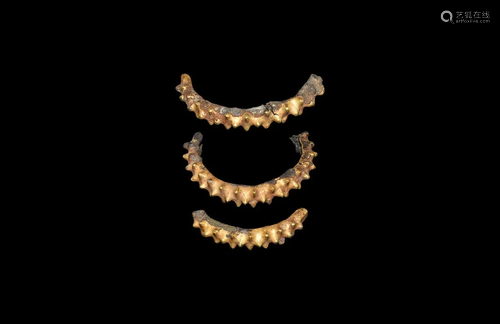 Pre-Elamite Gilt Silver Bracelet Section Group