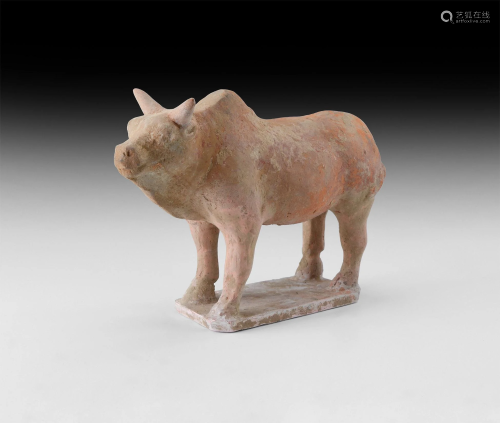 Chinese Tang Terracotta Bull