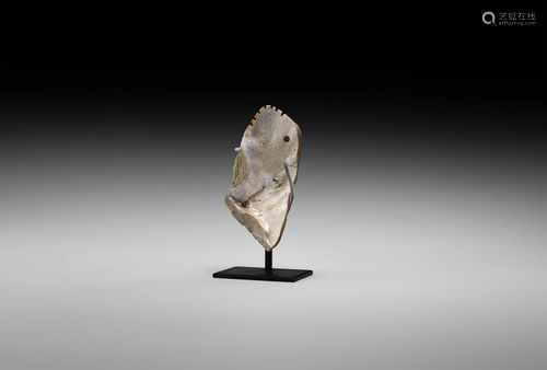 Pre-Columbian Polished Shell Pendant