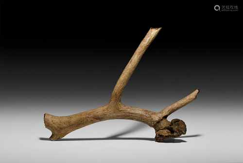 Natural History - British Ice Age Red Deer A…