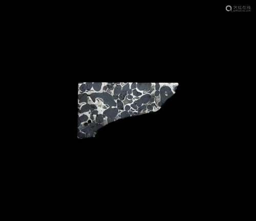 Natural History - Sericho Meteorite Polished…