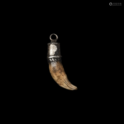Viking Silver Bear's Tooth Pendant