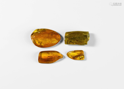 Lithuanian Amber Pieces with Insects