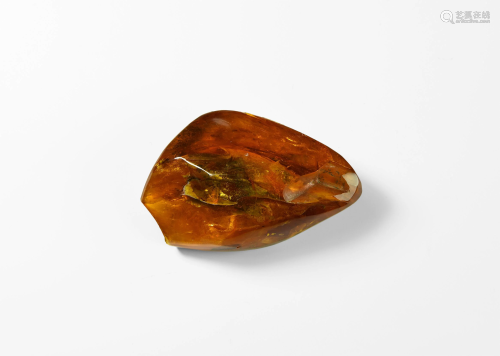 Large Polished Amber with Insect Inclusions