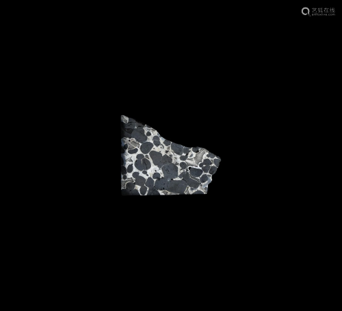 Natural History - Sericho Meteorite Polished…