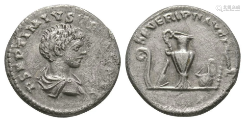 Geta - Emblems Denarius