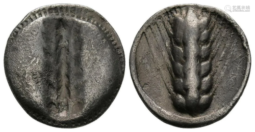 Metapontum - Barley Ear Stater