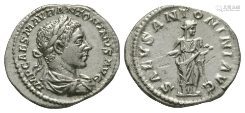 Elagabalus - Salus Denarius