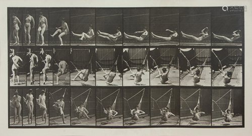 Eadweard Muybridge (American/Briti…