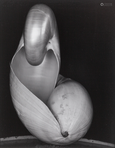 Edward Weston (American, 1886-1958) S…