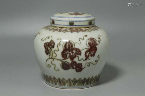 A Chinese Iron-Red Glazed Porcelain Jar