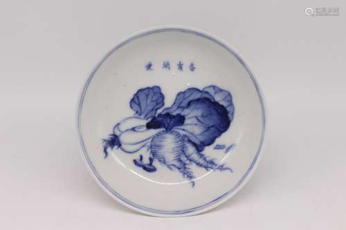 A Chinese Blue and White Porcelain Plate