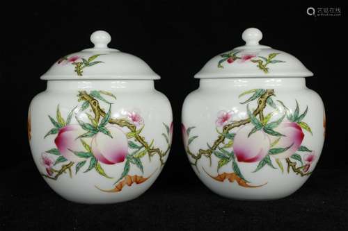 A Pair of Chinese Famille-Rose Porcelain Jars with Cover