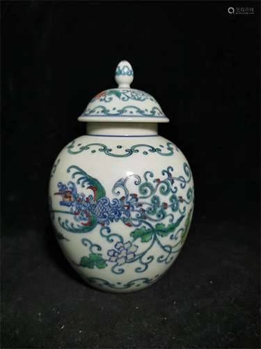 A Chinese Dou-Cai Glazed Porcelain Jar with Cover