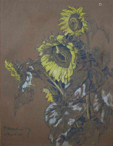 Joseph Kohlschein d. Jüngere (Düsseldorf 1884 - Neuss 1958), Sonnenblumen, 1957, Bleistift und