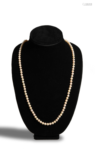 Opera Length Pearl Necklace with 14K Gold …